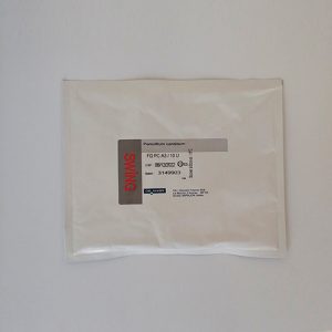 Penicillium Candidum